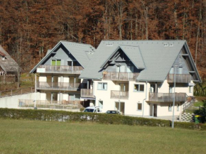 Apartments Holin